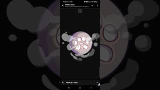A guide on how to connect your phantom wallet on the PAWS website.