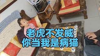 小朋友让你见识一下真正的实力，老虎不发威你当我是病猫呢！