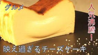 ピヨ卵グルメ映え過ぎるチーズケーキ