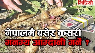 नेपालमै बसेर कसरी  मनग्य आम्दानी गर्ने ? ||| How to earn money In Nepal