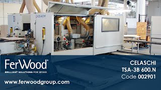 Double End Tenoners in action - CELASCHI TSA-3B 600.N - Ferwoodgroup