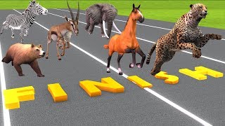 Animals Running Race Horse Race Videos For Kids | Animals Names And Sounds | Toys For Children