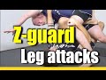 Z-guard LEG ATTACKS