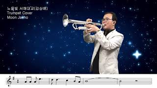 노을빛 서해대교(김상배)Trumpet Cover Moon Jaeho