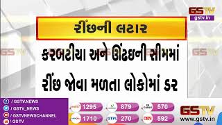 Mehsana : વડનગર નજીક જોવા મળ્યું રીંછ,Video Viral | Gstv Gujarati News