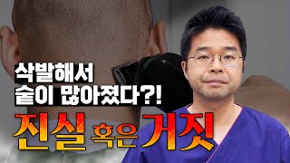 삭발하면 머리숱이 많아진다는 속설! 진짜다? 가짜다?