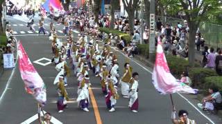 妃龍〔彩夏祭2016　二日目　公園通北会場2回目20160807〕