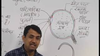 Rajasthan ICT Satellite Education Science 10th “Light”24 Nov 2018-19 Lecture-35