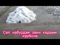 Сел зани кадаи курбона набурд