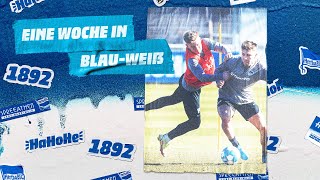 HaHoHe - Eine Woche in Blau-Weiß | 26. Spieltag | Borussia Mönchengladbach vs. Hertha BSC