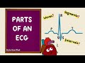 Parts of an ECG | EKG Basics | Waves Segments Intervals | Cardiac Physiology