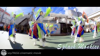 【シネスコ】Splash Monkies／湘南ひらつかスターライトフェスティバル2022