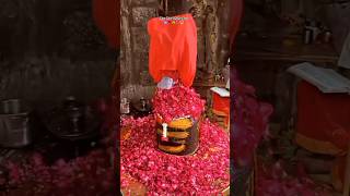 Rose Abhishek Shiv Status video 🌹❤️🕉️  mahadev Status video 🌸🔱. #bholenath #trending