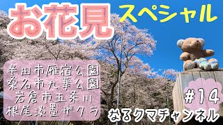 楽しいお花見