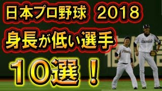 日本プロ野球「身長が低い」選手１０選！