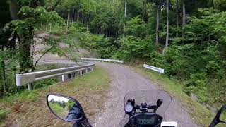 山梨県　林道　大地峠線