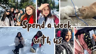 A day in Bhaderwah☃️🌨️ | New year🎊 | New cat🐱 | Shopping and much more❤️✨