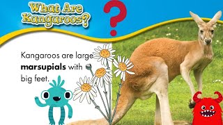 ABC kangaroo #animals for kids #بچوں کے لئے جانور #animals names #pets names#kidsvideo #babykangroo