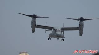 【4K】岩国基地フレンドシップデー2019 アメリカ海兵隊MV-22オスプレイ 機動飛行