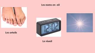 FLE FLS LIRE ET DIRE  les noms et les verbes en  il,  ille