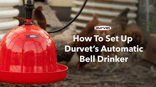 How to Set Up Durvet's Poultry Bell Drinker | Quick \u0026 Easy Guide!