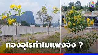 ชาวบ้านสงสัยทำไมซื้อมาแพง | ข่าวช่อง8