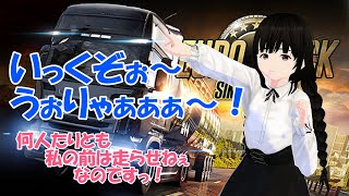 【Euro Truck Simulator 2】ポカをカットして再アップ。雑談？トラックをただ運転しているだけの配信。事故りませんよ？(⌒∇⌒)【Vtuber】