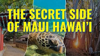 Discover Maui: 7 Hidden Gems you NEED to see on your next trip! Beaches Snorkeling, Culture & More
