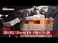 코로나 추경 편성...11조 α 규모 추진 ytn