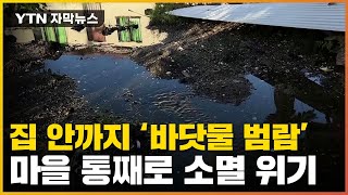 [자막뉴스] "마을 완전히 사라질 위기"...기후 변화 '직격탄' / YTN