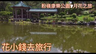 粉嶺康樂公園夏天賞花記@香港賞花2021 Summer Flowers in Fanling Hong Lok Park, Hongkong