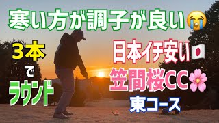 寒い方が調子が良い⁉️3本でラウンド⛳️日本イチ安い🇯🇵笠間桜CC🌸東コース