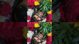 Mahashakti Mariamman festival Boodhimutlu day 2 🛐🕉️#shortvideo #sh9rts