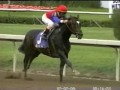 2004 donn handicap medaglia d oro