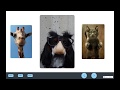 Custom Slider in Webflow - Carousel