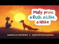 malý princ – o ruži o líške o láske – hosť juraj kukura u0026 duk