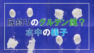 へらぶなの底釣りに適したグルテン？を観察するウキ釣り初心者