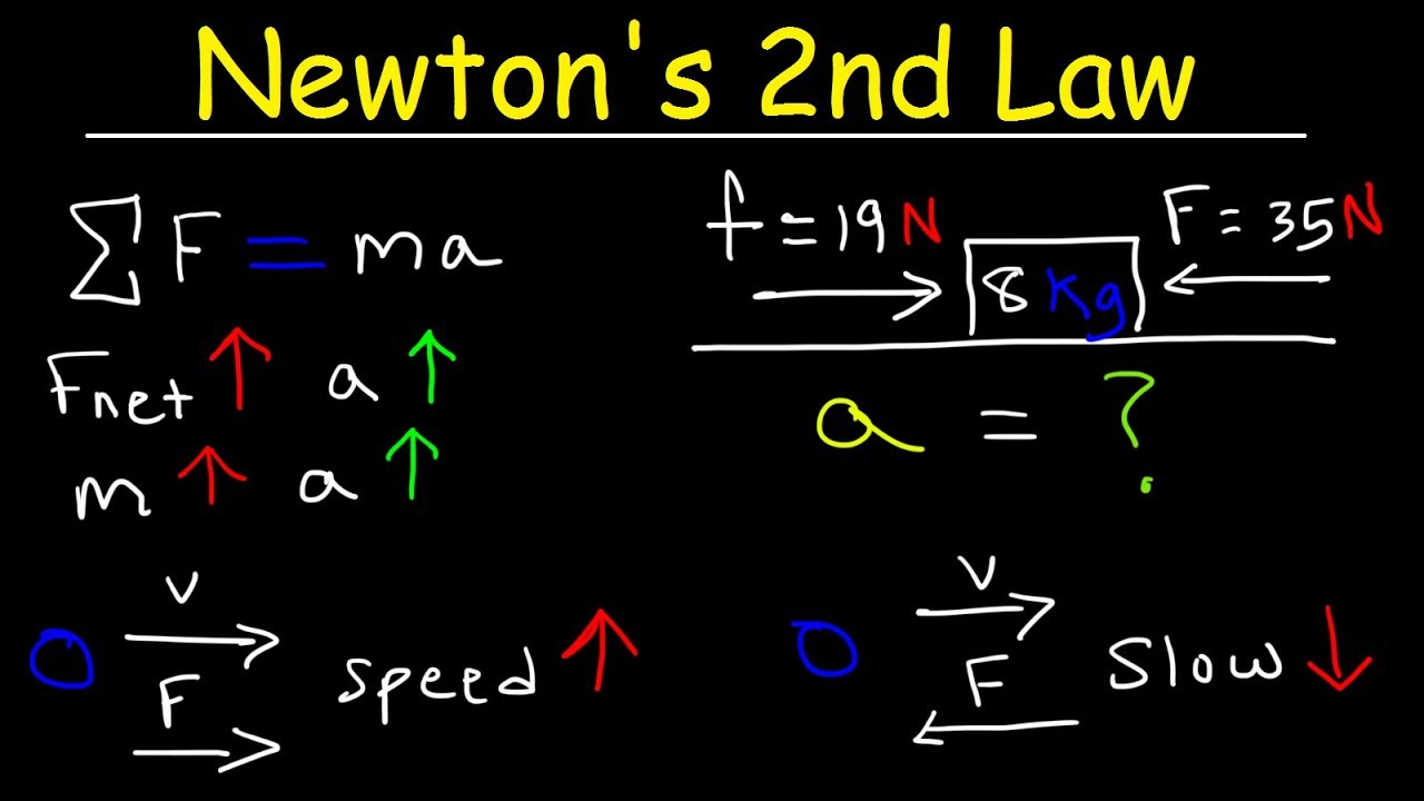 Newton's Laws Of Force And Motion