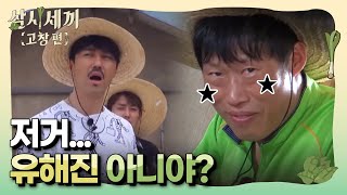 [#삼시세끼고창편] 이장님 몰카에도 메소드 연기하는 유해진\u0026차승원, 극적 상봉 160701 EP1 #09