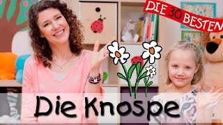 🌺 Die Knospe - Singen, Tanzen und Bewegen || Kinderlieder