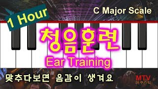 [🎸청음훈련 스페셜]1시간 연속/다장음계/도레미파솔라시도/Ear Training/C Major Scale/Relative Pitch