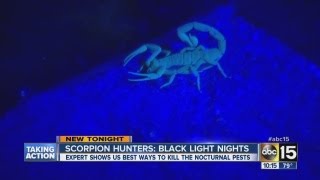 Scorpion Hunters Share Secrets