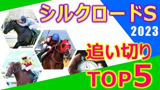 【シルクロードステークス2023】追い切り評価トップ５　ナムラクレア動き目立つも評価は分かれそう⁉︎ウインマーベル好仕上がりで順調アピール‼︎斤量と枠が大きな鍵を握りそうな一戦‼︎