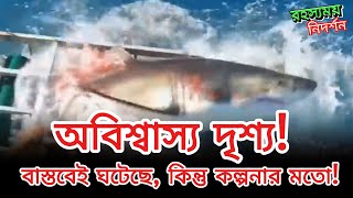 হাঙর সম্পর্কে আমাদের একটা ভুল ধারণা আছে। ক্যামেরায় ধরা না পড়লে অবাক হতেন না।