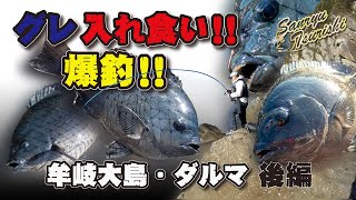 【アタリ連発】グレ爆釣！！牟岐大島・ダルマ攻略！！後編【牟岐大島磯釣り】