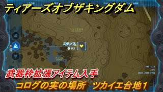 ティアキン　コログの実の場所　ツカイエ台地１　武器枠拡張アイテム入手　＃１２３５　【ゼルダの伝説ティアーズオブザキングダム】