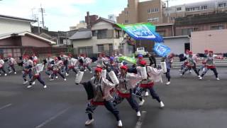 四万十町よさこい踊り子隊　四万夢多　2016よさこい四万十　中村病院　４K　2016 9 18