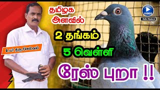 பந்தய புறா வளர்ப்பு முறை | ரேஸ் புறா | Race Pigeons | Homer | Hello Madurai | App | TV | FM |