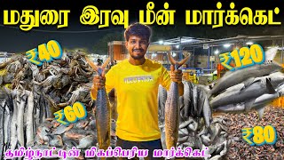 மதுரையில் மிகப்பெரிய மீன் சந்தை 🐬| Madurai Night Fish Market | Madurai | Vjmachi