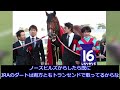 【競馬】ラムジェット サウジカップ招待を受諾 サウジカップ出走が話題に！！【競馬の反応集】